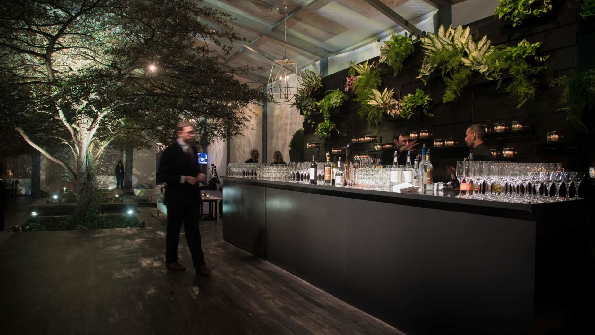 Bar with plants behind