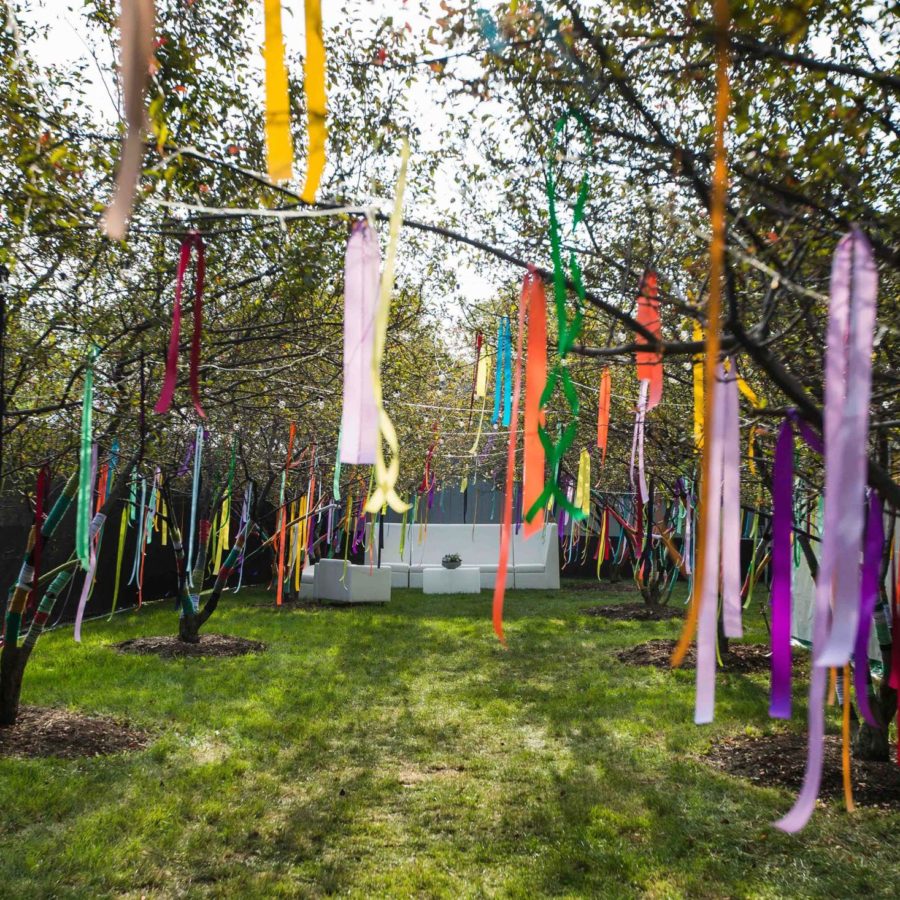 Trees with colorful ribbons hanging from branches