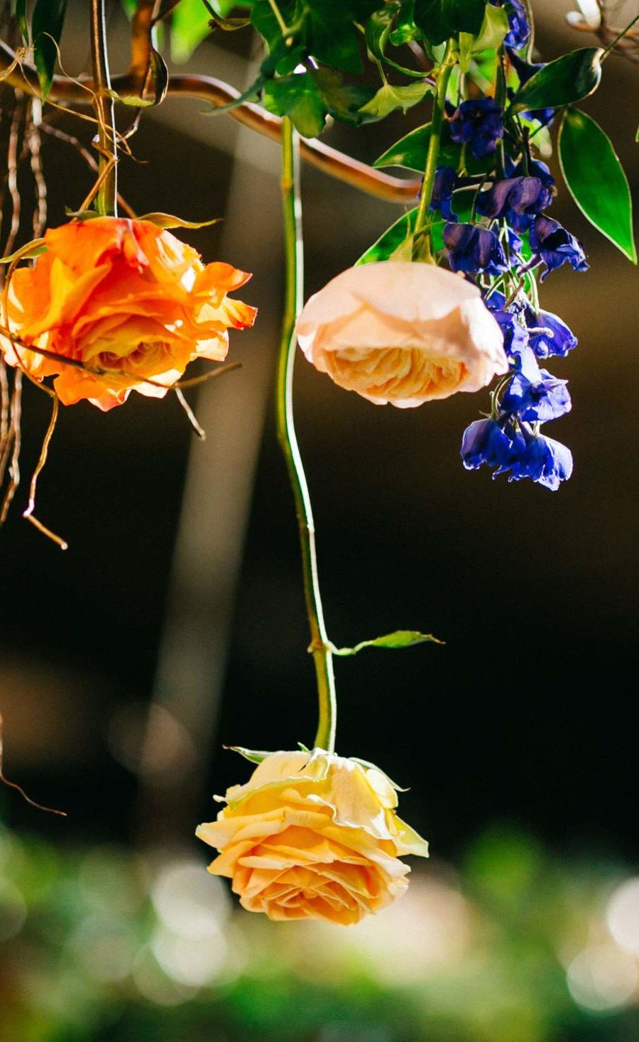 Hanging flowers